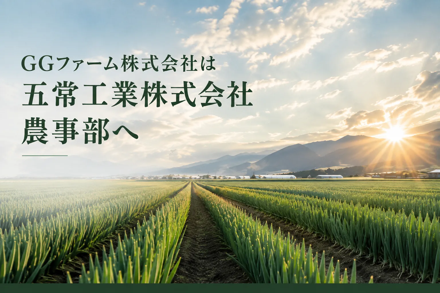 GGファーム株式会社