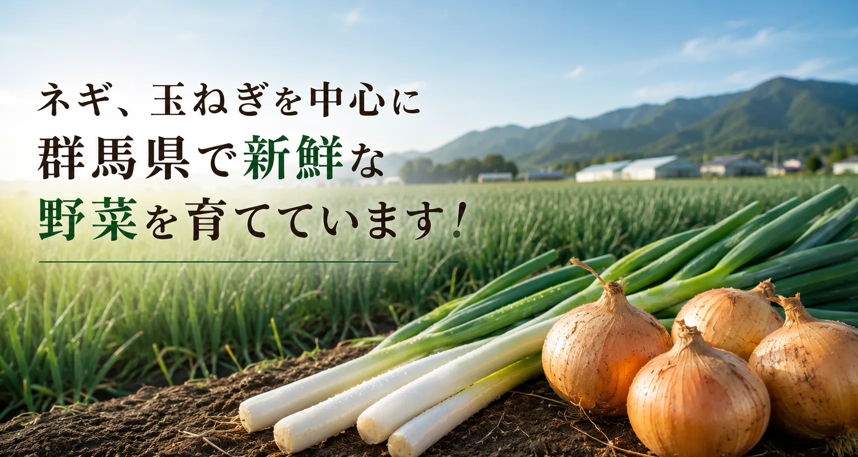 20260820171019.png
